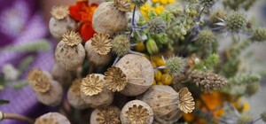 1 серпня – Медовий Спас: що можна і чого не слід робити на Маковія