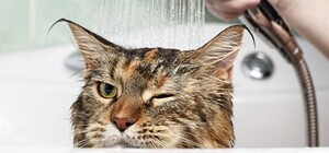 Зробіть запаси завчасно: частина лівого берега Дніпра залишиться без води майже на дві доби