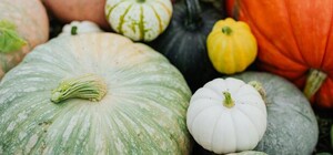 Де цими вихідними у Києві пройдуть продуктові ярмарки. Адреси