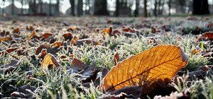 Дніпро прокинувся з інеєм: у місті зафіксували перші заморозки