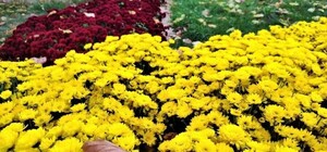 Диван зачекає: куди піти у Києві на цьому тижні, 29 вересня – 3 жовтня