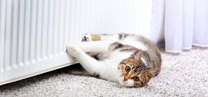 Коли в Україні стартує опалювальний сезон: дати, умови та особливості