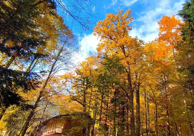 Вихідні у Львові: куди піти 1-2 листопада.