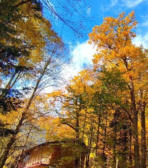 Вихідні у Львові: куди піти 1-2 листопада