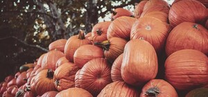 Де цими вихідними у Києві пройдуть продуктові ярмарки. Адреси