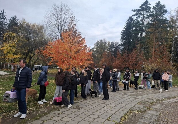 Більше сотні тварин безкоштовно провакцинували від сказу на Левандівці. Коли будуть наступні акції 