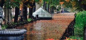 Туманно-дощовий листопад: яка погода буде в Одесі наступного тижня