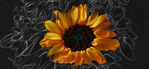 Виставка вишитих картин у музеї Станіслава Людкевича