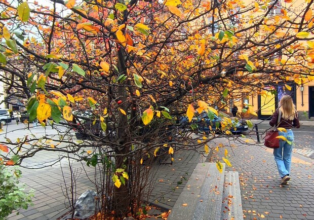 У квартирі у центрі Львова знайшли мертвою 17-річну дівчину. 