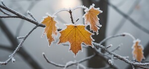 Метеорологи попереджають: листопад здатен принести один із найхолодніших тижнів за 70 років