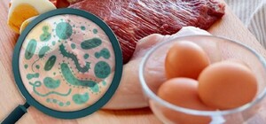У Запоріжжі підтвердили чотири випадки сальмонельозу