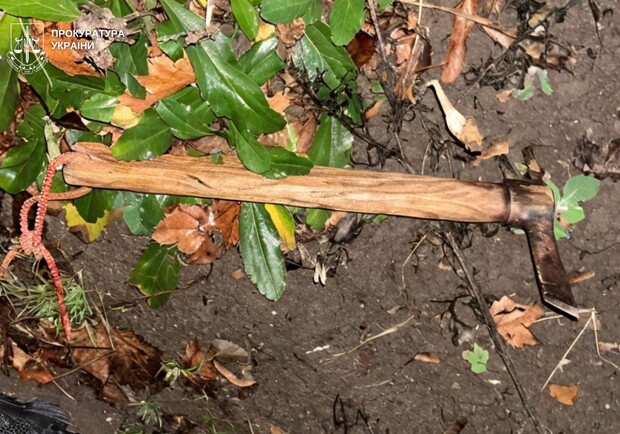 У Стрию чоловік під час перевірки документів вдарив сокирою працівника ТЦК: фото. 