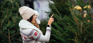 У Харкові назвали ціни на штучні ялинки