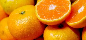 Де цими вихідними у Києві пройдуть продуктові ярмарки. Адреси