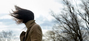 Можливе падіння дерев: яка погода буде в Одесі в перші січневі вихідні