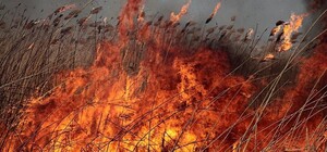 Черговий дроновий удар по Одещині: на двох островах горить очерет