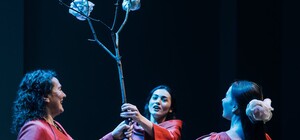 Вистава NOVA Коляда у Mercury Art Center