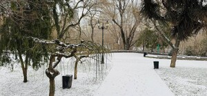 Від морозів до відлиги: яка погода буде в Одесі цієї неділі