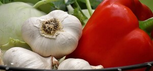 Де на цьому тижні у Києві пройдуть продуктові ярмарки. Адреси