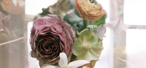 Пробудження, весна, кохання…Концерт