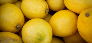 Де на цьому тижні у Києві пройдуть продуктові ярмарки. Адреси