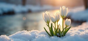 Яка погода буде у Харкові у березні — прогноз