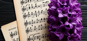 Симфонія весни. Концерт