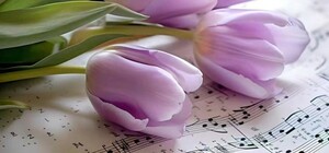 Подих весни. Вечір камерної музики