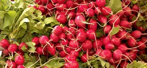 Де цими вихідними у Києві пройдуть продуктові ярмарки. Адреси