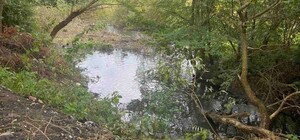 У Львівській громаді очистять річки