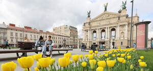 У Львові заквітне 165 тисяч тюльпанів і понад 5 тисяч дерев та кущів 