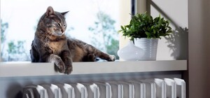 Коли вимкнуть опалення у Запоріжжі у 2026 році: орієнтовні дати та умови завершення сезону