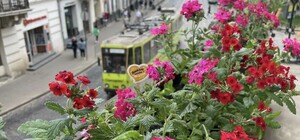 28 березня львів'ян кличуть на загальноміську толоку