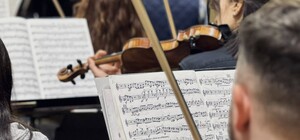 Музика тиші