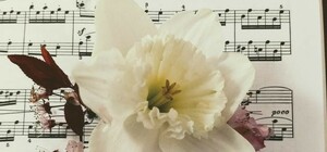 Pax et Bonum. У тиші народжується спокій 