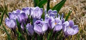 Плануй відпочинок: яка погода буде у Харкові цими вихідними