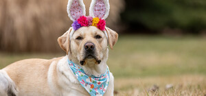 Вихідні в Україні у квітні 2026: скільки відпочиватимемо 