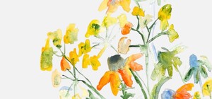 Мислення сезонами. Виставка