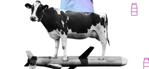 Дєд і крилата ракета