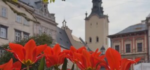 Львів — місто весни