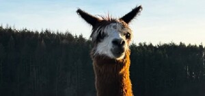Екскурсія на екоферму 