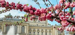 Від заморозків до +20 °С: яка погода буде в Одесі наступного тижня