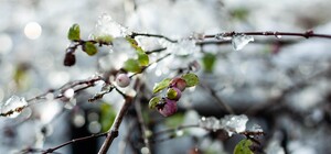 Дощитиме: яка погода буде у Харкові цього тижня