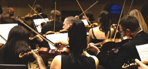 Симфонія Життя. Концерт