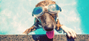 У медіа поширюють заяви про 