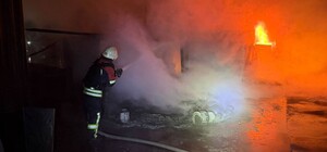 Вночі дрони атакували Одещину: пошкоджено будинки, порт і заповідник