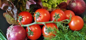 Де цими вихідними у Києві пройдуть продуктові ярмарки. Адреси