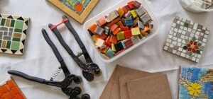 Ботсад у Дніпрі працюватиме у суботу: майстер-класи, обмін рослинами та екскурсії