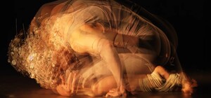 Тут буде сад. Танцювальна вистава 