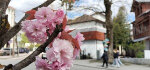 У Львові зафіксували найнижчу температуру повітря за 80 років